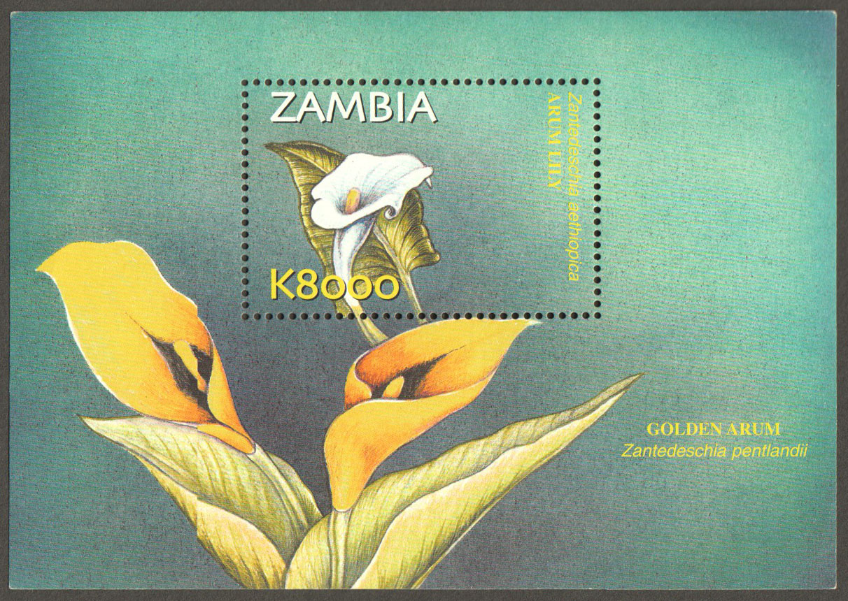 Zambia Scott 992 MNH S/S (A12-15) - Click Image to Close